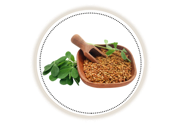 Fenugreek seeds in a wooden bowl along with fresh fenugreek leaves