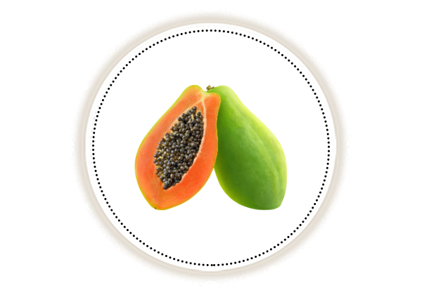Sliced and Whole papaya on white background