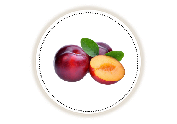 Sliced and whole Plum on white backgrouns