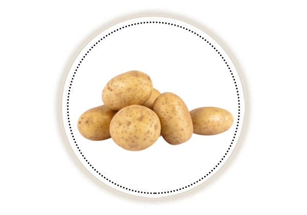 Potatoes on white background