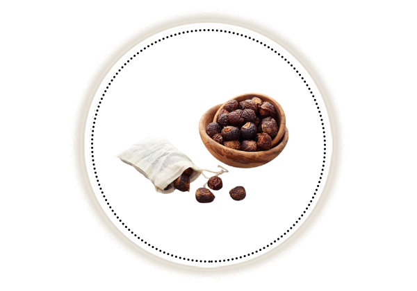 Reetha nuts in a brown wooden bowl on white background