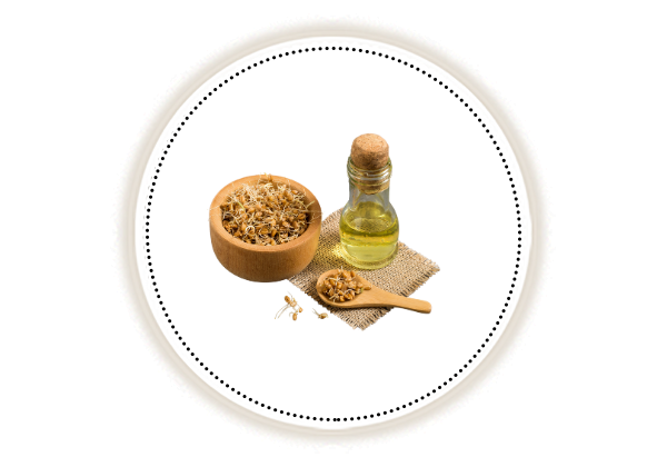 Wheat Germ Oil on white background