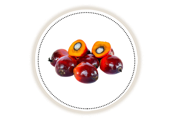 whole and sliced batana fruit on white background