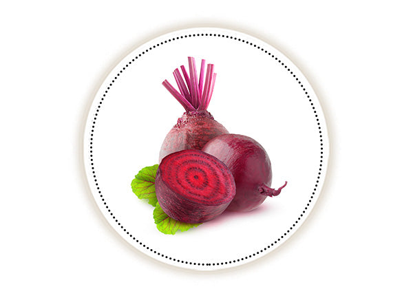 beetroot whole and sliced with leaves on white background