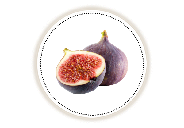 sliced fig on white background