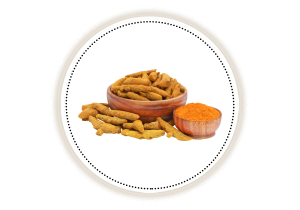 fresh haldi in a wooden bowl, haldi or turmeric powder in a bowl on white background