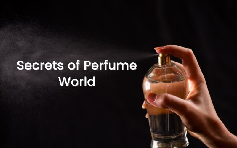 Perfume Notes - And 6 Common Fragrance Types to Look Out For - Blue Nectar Ayurved