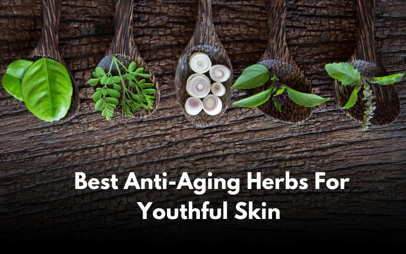 The 12 Best Anti-Aging Herbs to Fight Skin Aging - Blue Nectar Ayurved