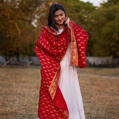 Bhindita in white dress