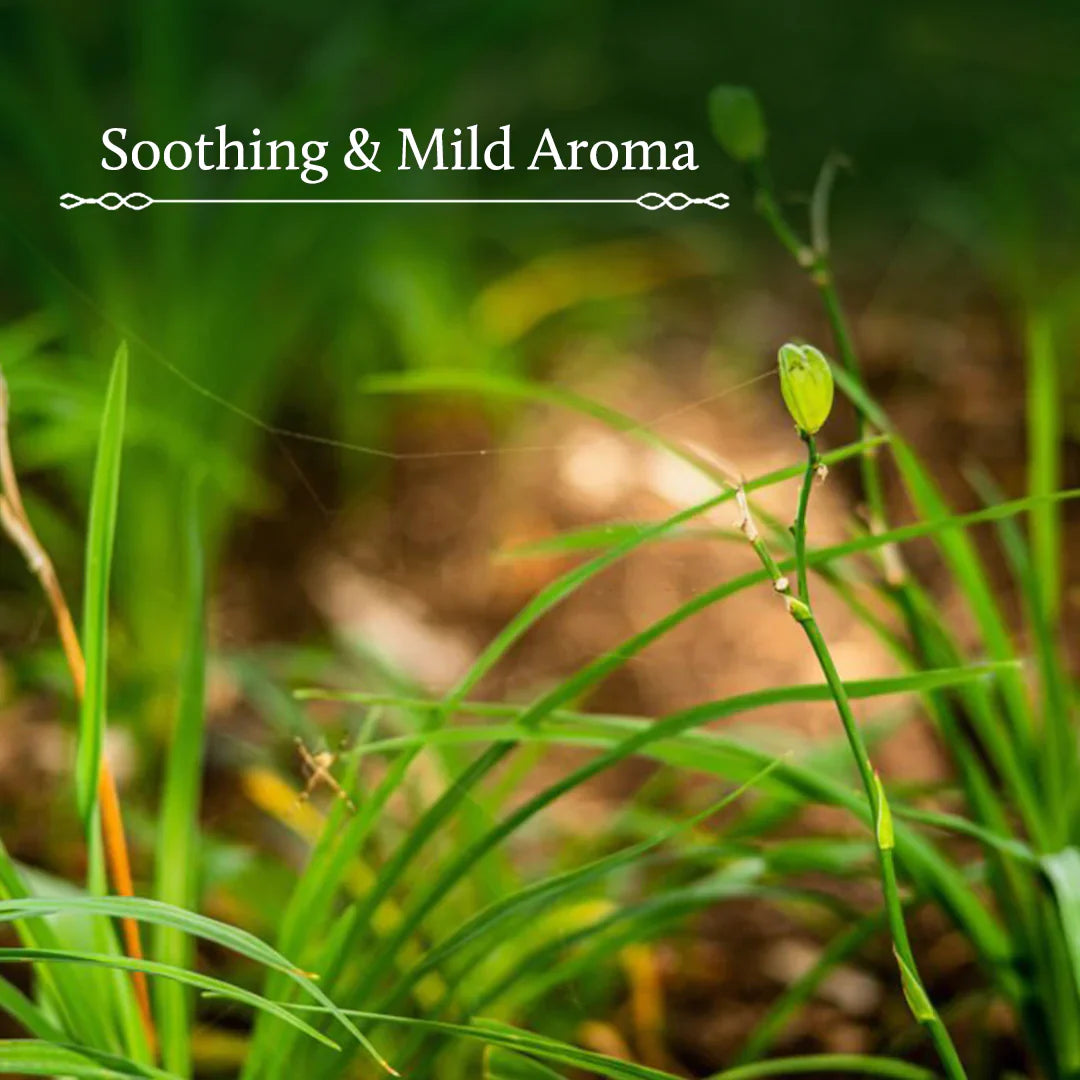 Vetiver Face Tonic Mist | Mild aroma