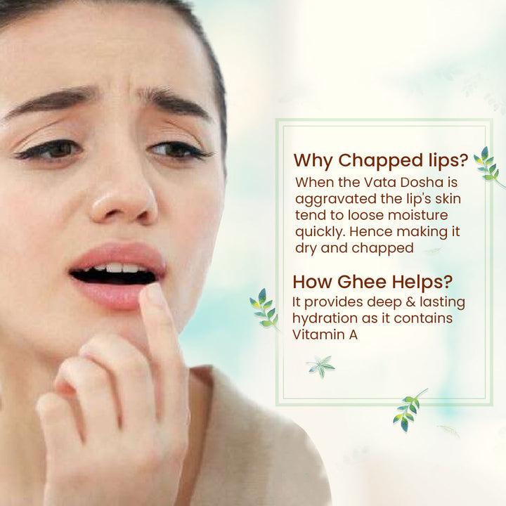 Lip balm made up of Ghee 